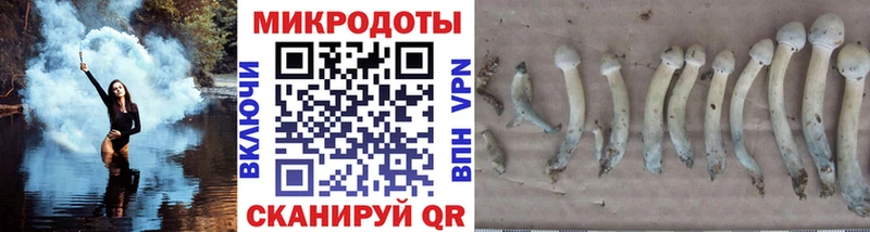 дарнет шоп Вытегра Галлюциногенные грибы Psilocybine cubensis